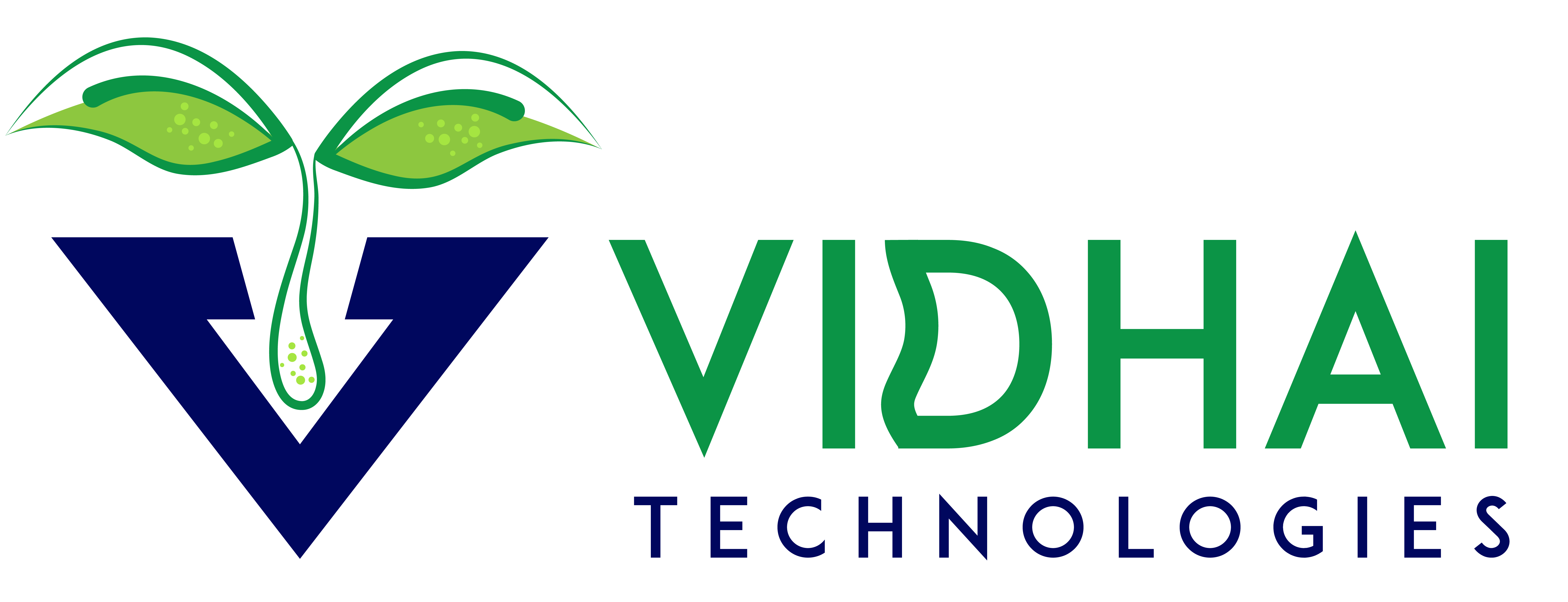 Vidhai Technologies